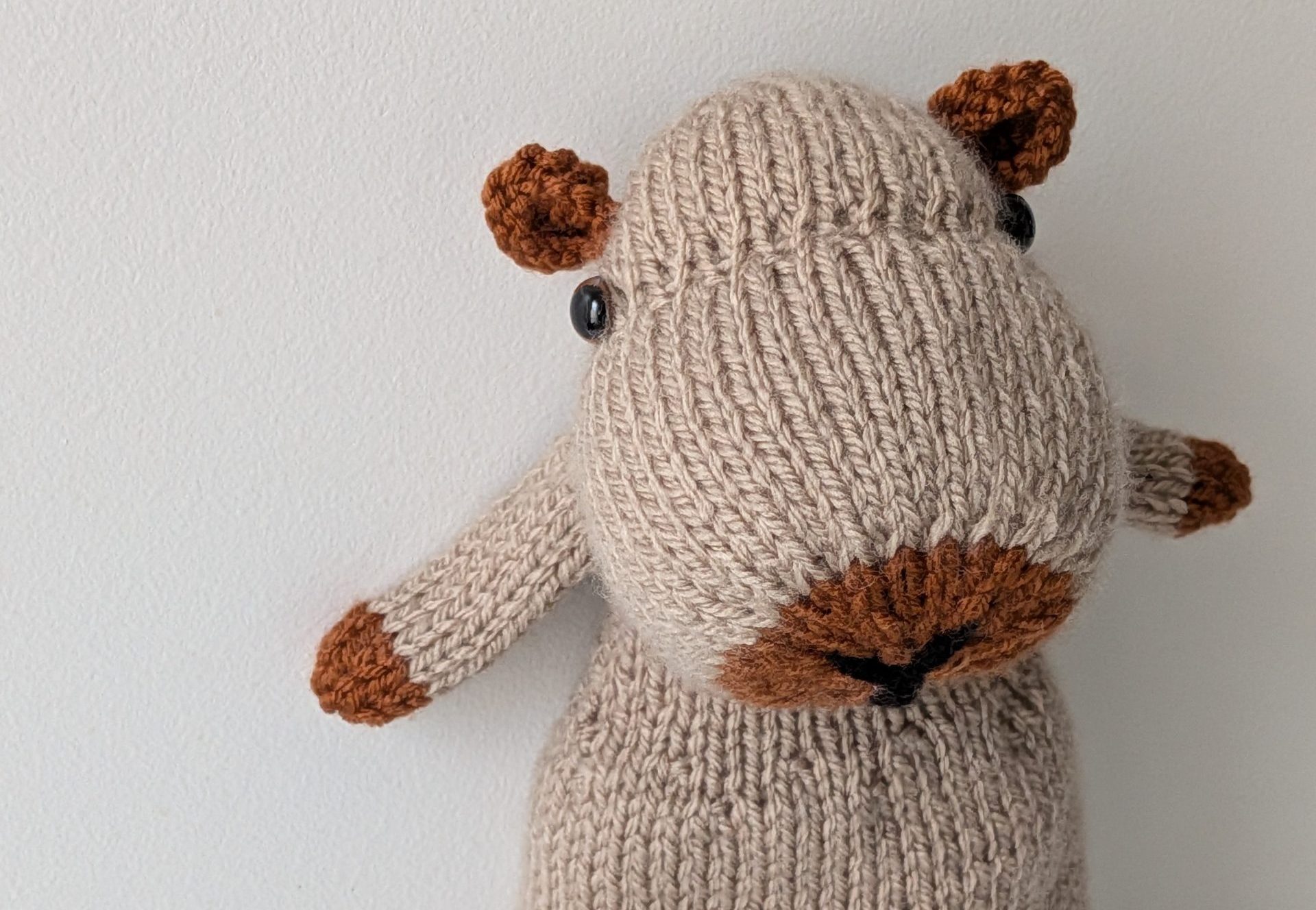 Chester le capybara